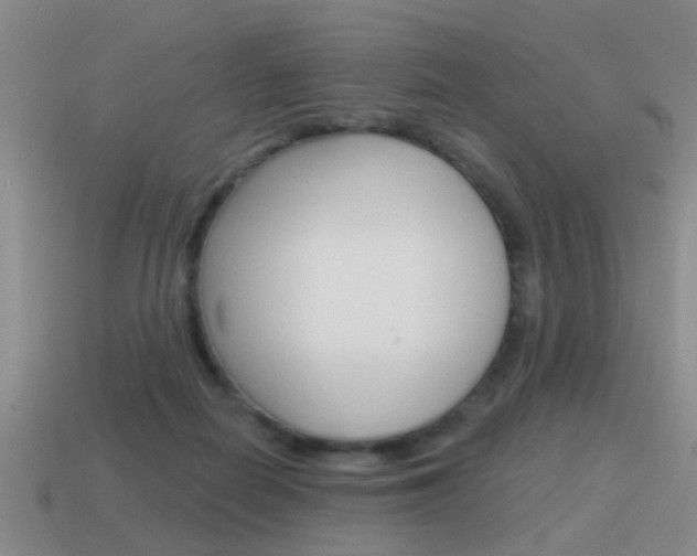 X0000115590266200911100937