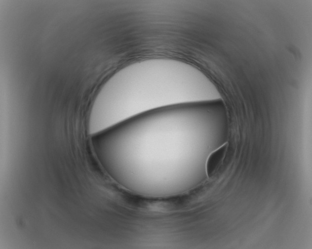 X0000115590268200911100937