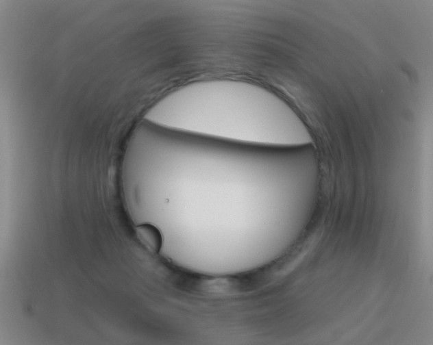 X0000115590269200911100937