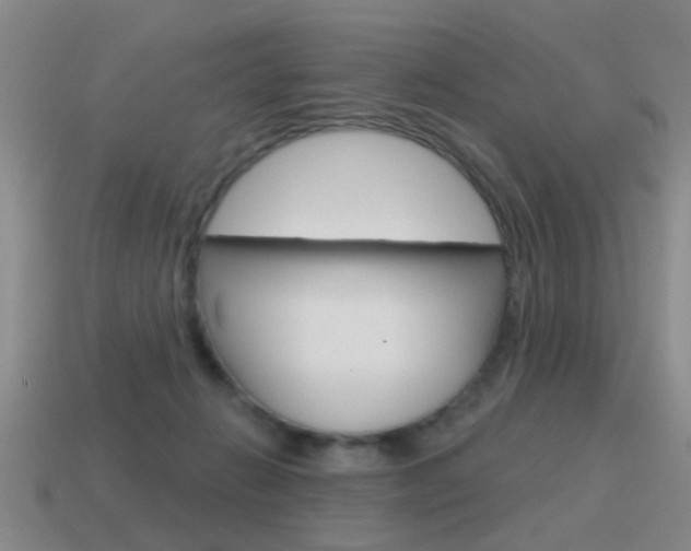 X0000115590270200911100937