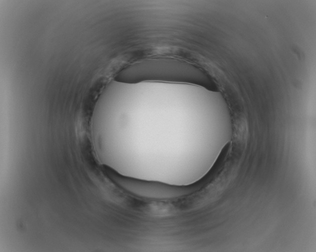 X0000115590272200911100937