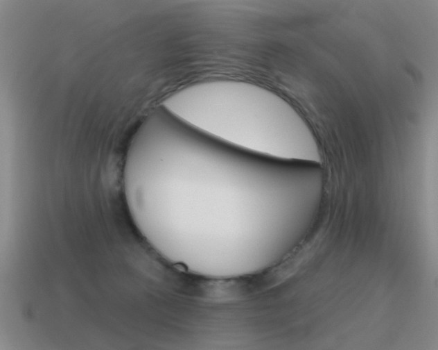 X0000115590273200911100937