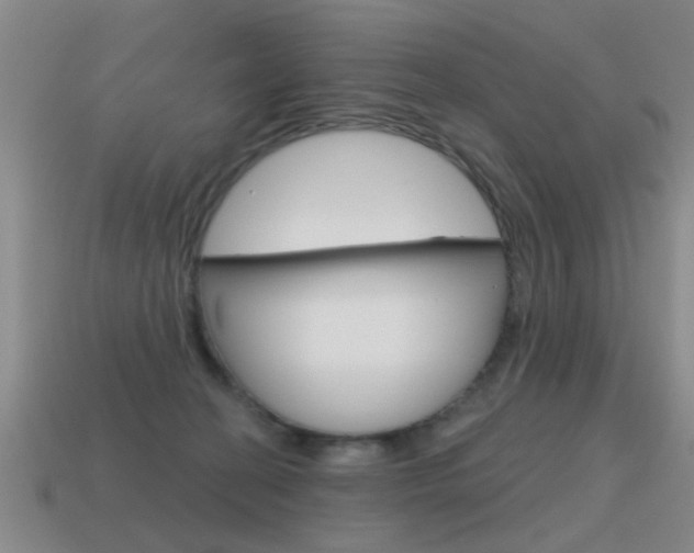 X0000115590274200911100937