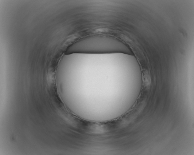 X0000115590276200911100937