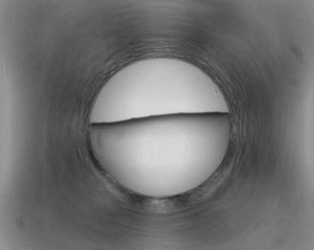 X0000115590277200911100937