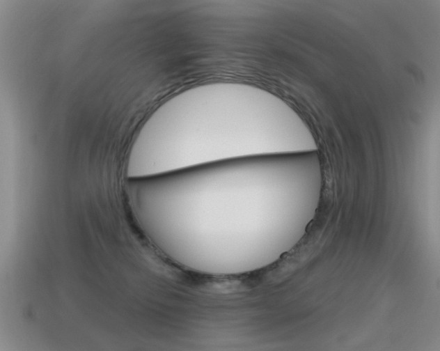 X0000115590278200911100937