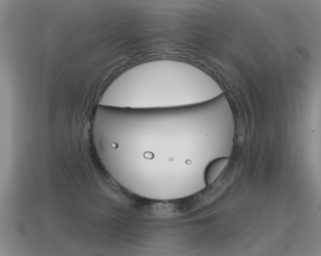 X0000115590279200911100937