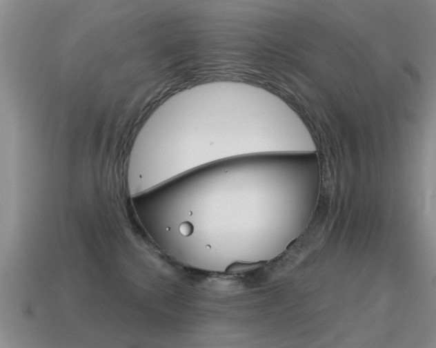 X0000115590280200911100937