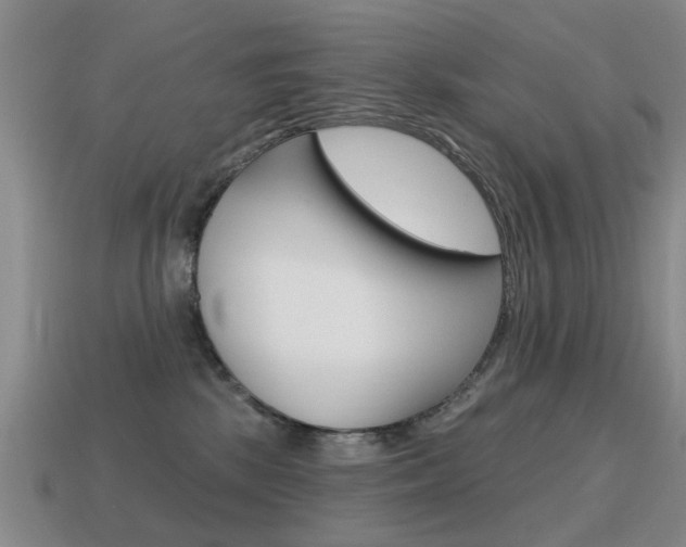 X0000115590281200911100937