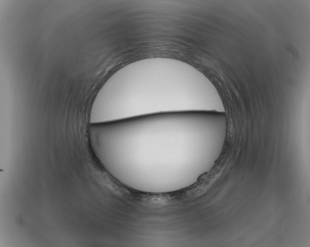 X0000115590282200911100937