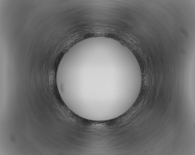 X0000115590283200911100937