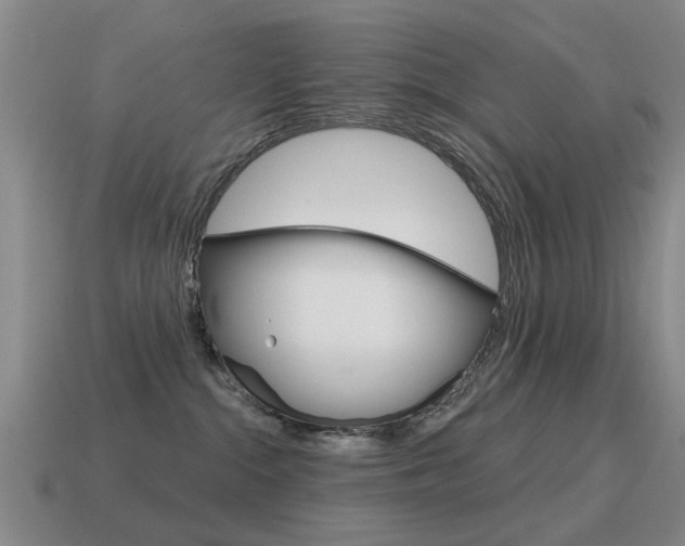 X0000115590284200911100937