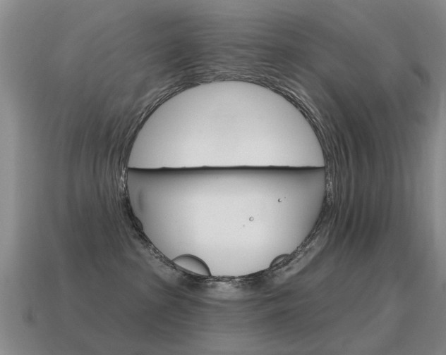 X0000115590285200911100937