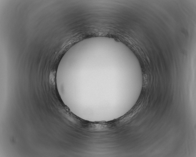 X0000115590286200911100937