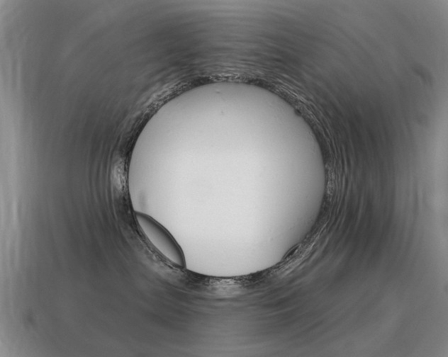 X0000115590287200911100937