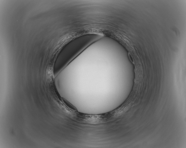 X0000115590288200911100937