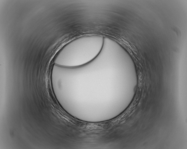 X0000115590290200911100936