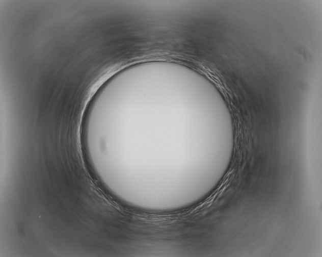 X0000115590292200911100936