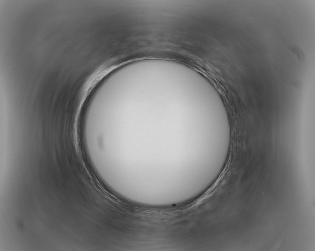 X0000115590294200911100936
