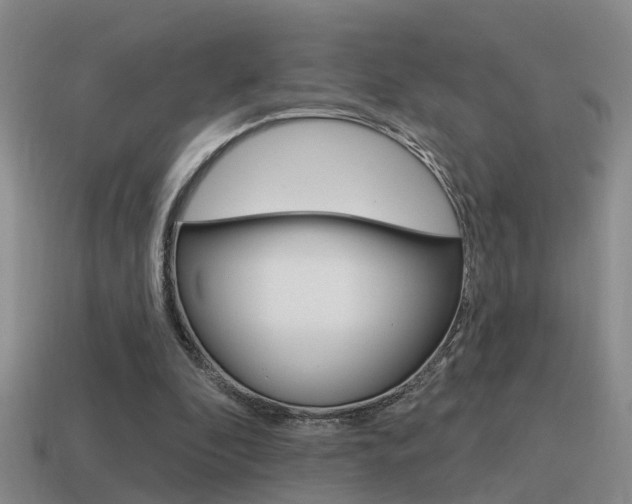 X0000115590296200911100936