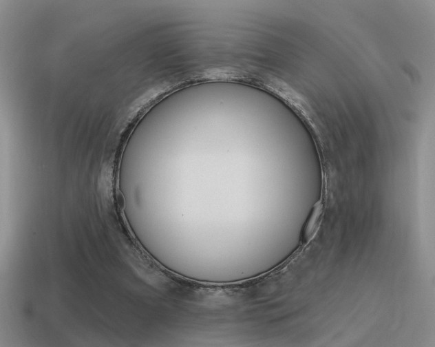 X0000115590297200911100936