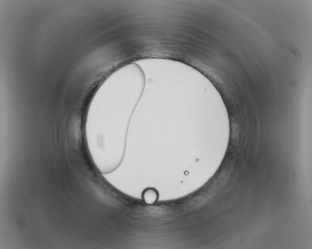 X0000115590302200911100936