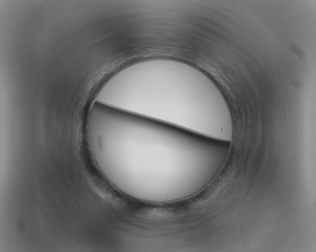 X0000115590303200911100936