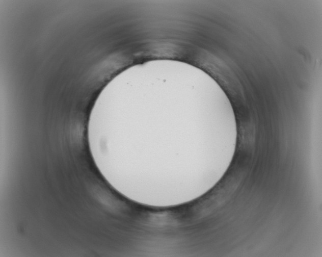 X0000115590309200911100936