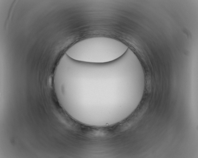 X0000115590310200911100936