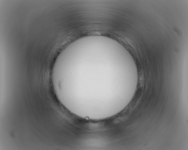 X0000115590314200911100936
