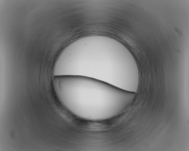 X0000115590315200911100936
