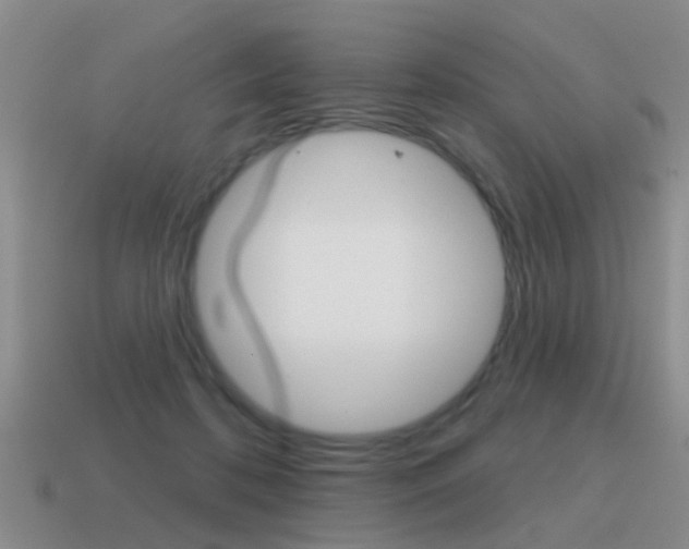 X0000115590316200911100936