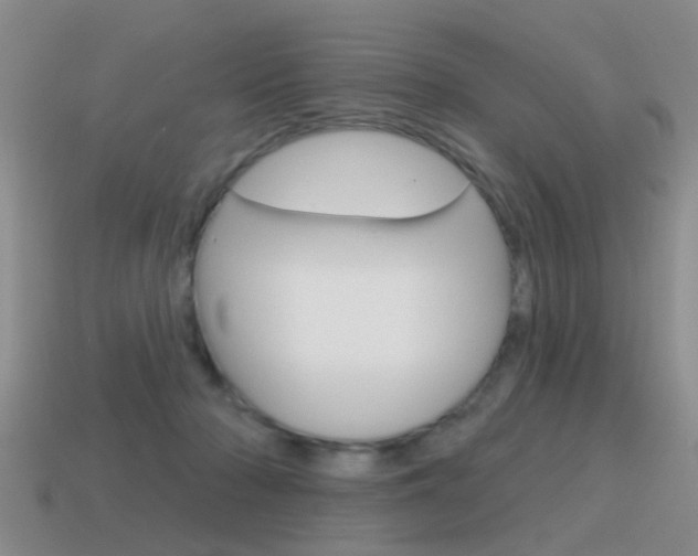 X0000115590318200911100936