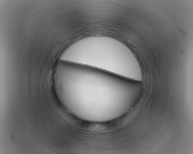 X0000115590319200911100936