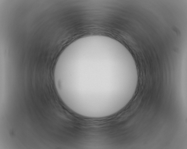 X0000115590320200911100936