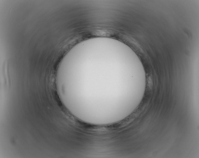 X0000115590322200911100936