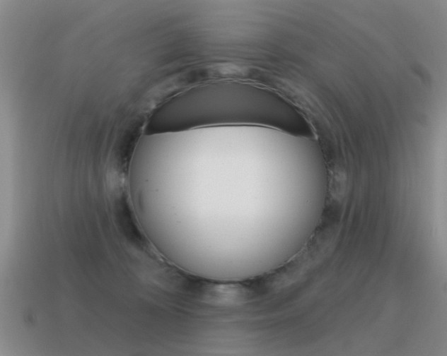 X0000115590324200911100936
