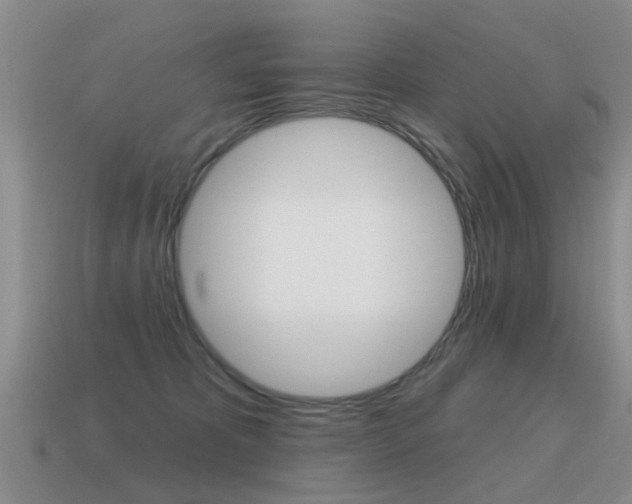 X0000115590325200911100936