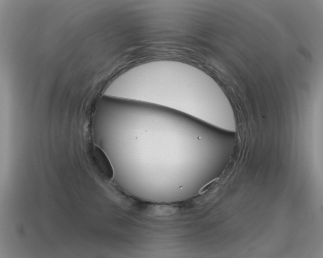X0000115590327200911100936