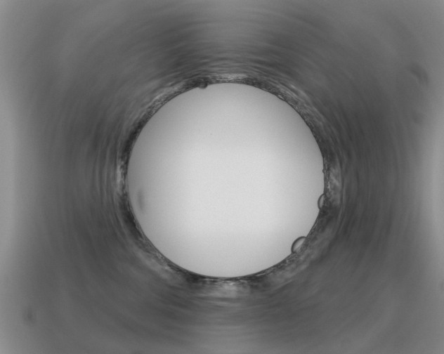 X0000115590330200911100936
