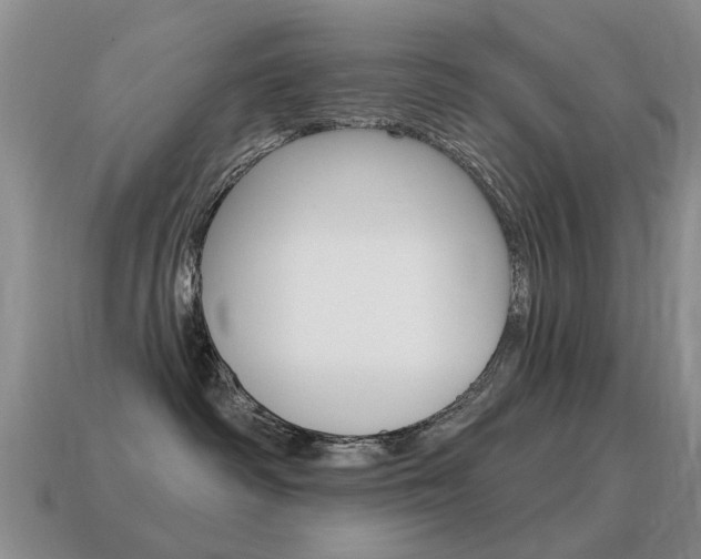 X0000115590334200911100936