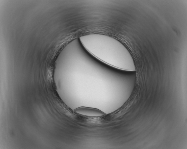 X0000115590335200911100936