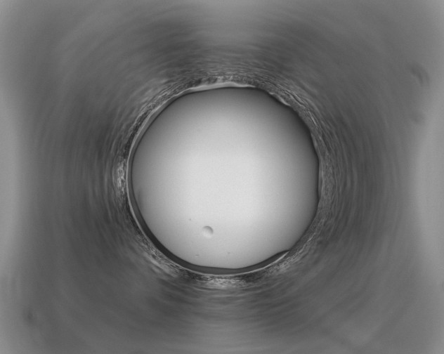 X0000115590336200911100936