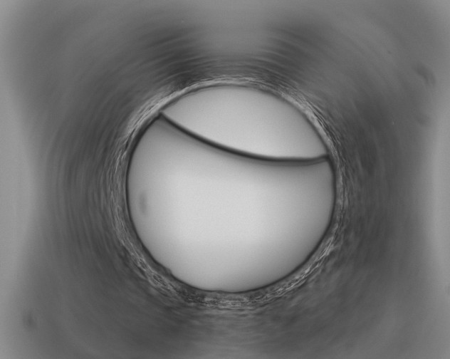 X0000115590337200911100935