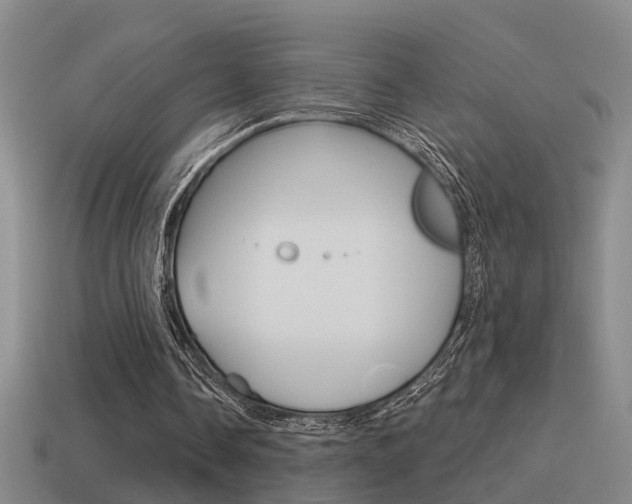 X0000115590338200911100935