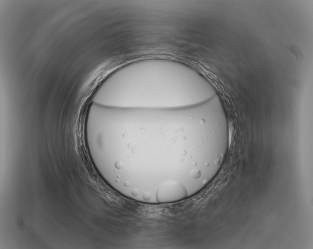 X0000115590339200911100935