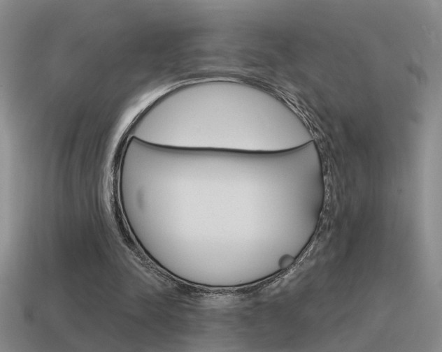 X0000115590342200911100935