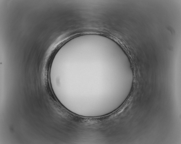X0000115590343200911100935