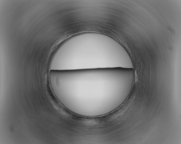 X0000115590349200911100935