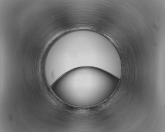 X0000115590350200911100935